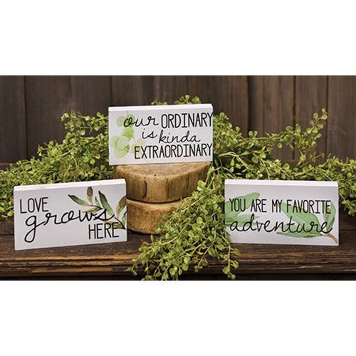 Love Grows Here Block 3 asstd.  (Pack of 4)
