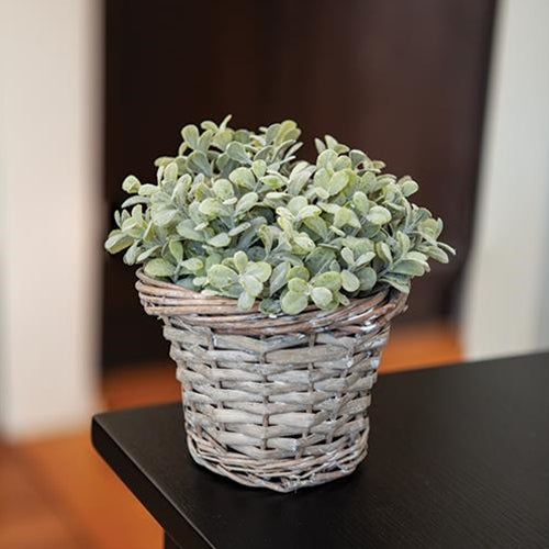 Gray Willow Basket (Pack of 4)