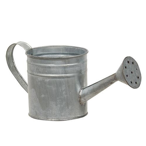 Natural Zinc Watering Can (Pack of 4)