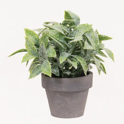 Icy Gatehouse Pot #3 6