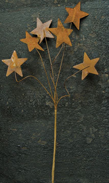Rusty Star Pick - 12