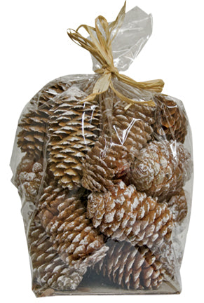 Snowy Pinecone Fillers 6 oz. (Pack of 4)