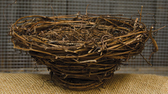 Bird Nest - 7