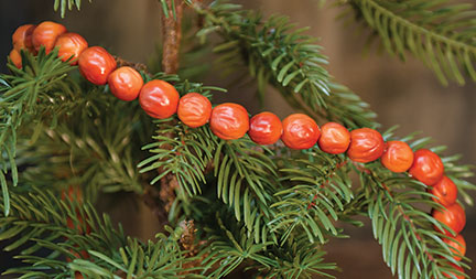 Orange Berry Garland (Pack of 4)