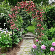 Load image into Gallery viewer, Garden Arch Arbor Trellis with Gate Patio Plant Stand Archway-Black
