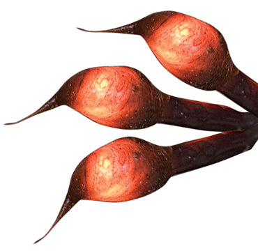 35 Grubby Mini Lights Brown