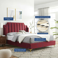 Load image into Gallery viewer, Daniella Performance Velvet Queen Platform Bed by Modway
