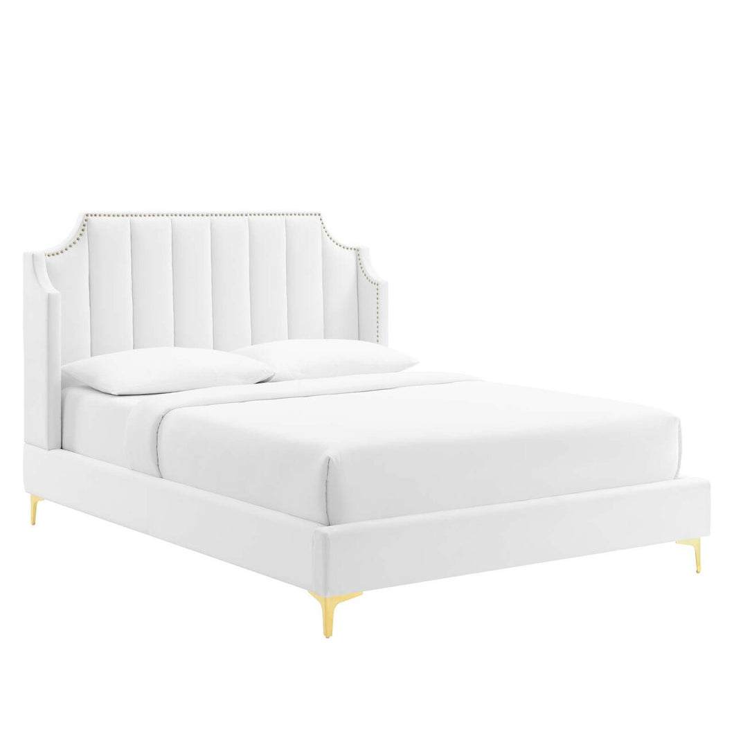 Daniella Performance Velvet Queen Platform Bed by Modway