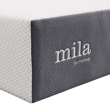 Load image into Gallery viewer, Mila 12&quot; Twin Mattress
