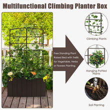 Load image into Gallery viewer, 44 Inch Metal Raised Garden Bed with Trellis for Garden
