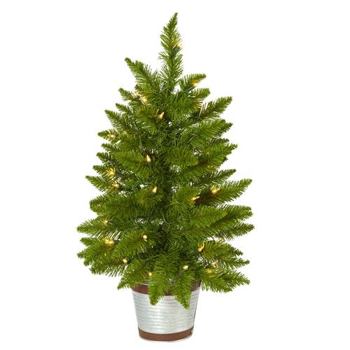 2'Providence Pine Artificial Christmas Tree in Decorative Planter with 35 Warm White Lights and 51 Bendable Branches