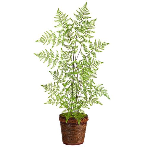 3'Ruffle Fern Artificial Tree in Basket