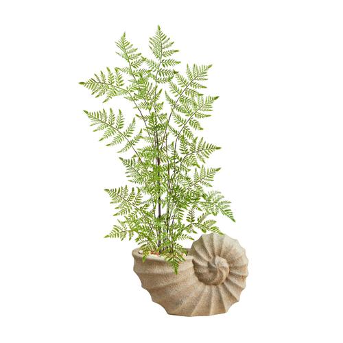 3'Ruffle Fern Artificial Tree in Shell Shaped Planter