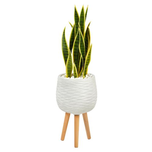 3'Sansevieria Artificial Plant in White Planter with Stand