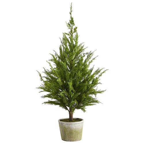 3.5'Cedar Pine “Natural Look