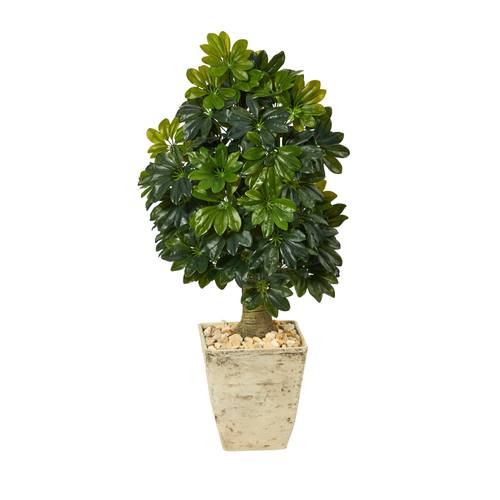 3.5'Schefflera Artificial Tree in Country White Planter (Real Touch)