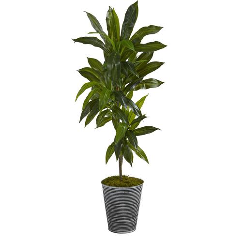 4'Dracaena Artificial Plant in Decorative Tin Planter (Real Touch)