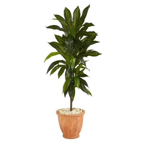 4'Dracaena Artificial Plant in Terra-Cotta Planter (Real Touch)