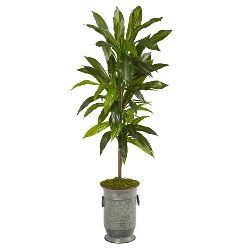 4'Dracaena Artificial Plant in Vintage Metal Planter (Real Touch)