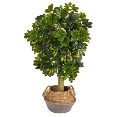 4'Schefflera Artificial Tree in Boho Chic Handmade Cotton & Jute Gray Woven Planter (Real Touch)