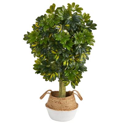 4'Schefflera Artificial Tree in Boho Chic Handmade Cotton & Jute White Woven Planter (Real Touch)