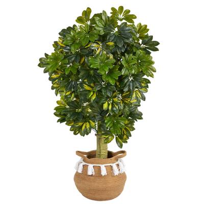 4'Schefflera Artificial Tree in Boho Chic Handmade Natural Cotton Woven Planter with Tassels (Real Touch)