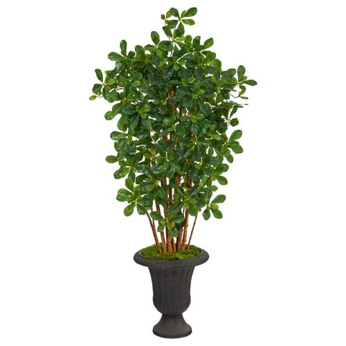 4.5'Black Olive Artificial Tree in Charcoal Urn