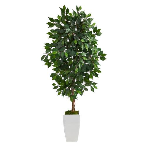 4.5'Ficus Artificial Tree in White Metal Planter