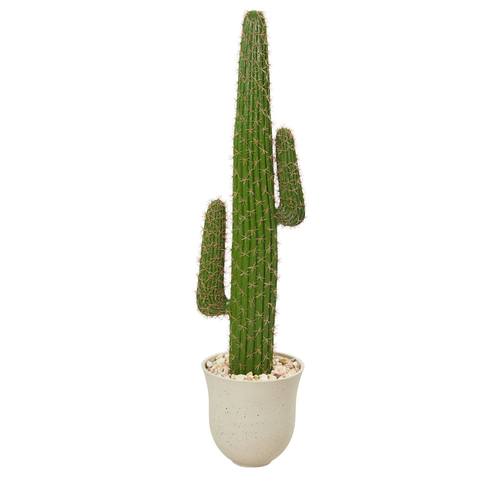 5'Cactus Artificial Plant in Decorative Urn