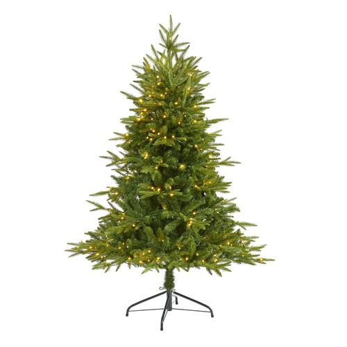 5'Colorado Mountain Fir “Natural Look