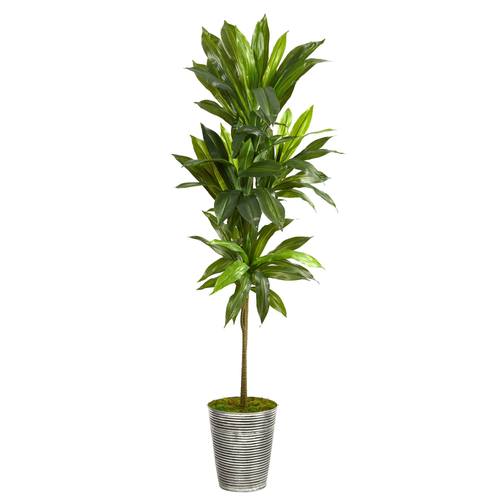 5'Dracaena Artificial Plant in Decorative Tin Planter (Real Touch)