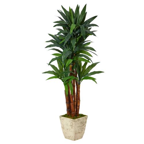 5'Dracaena Artificial Tree in Country White Planter