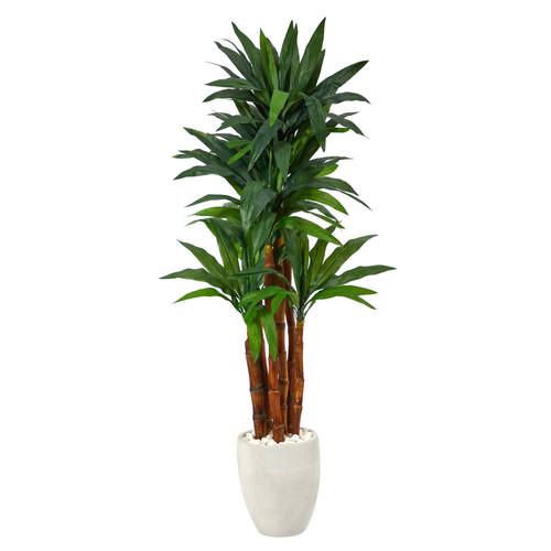 5'Dracaena Artificial Tree in White Planter