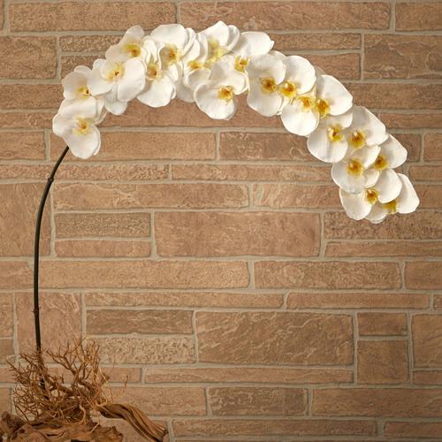 5'Large Phalaenopsis Orchid Artificial Flower (Set of 2)
