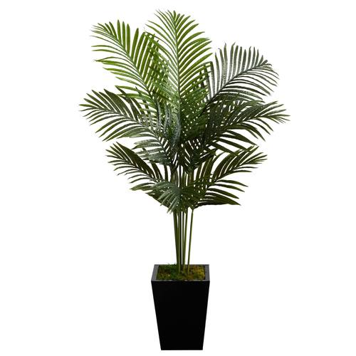 5'Paradise Palm Artificial Tree in Black Metal Planter