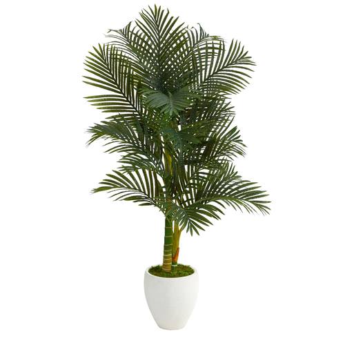 5'Paradise Palm Artificial Tree in White Planter