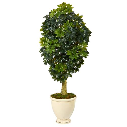 5' Schefflera Artificial Tree in Decorative Urn (Real Touch)