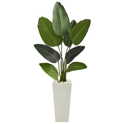 5'Travelers Palm Artificial Tree in Tall White Planter