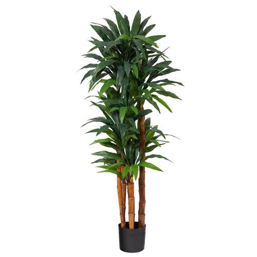 5.5'Dracaena Artificial Tree with Natural Cane Trunk