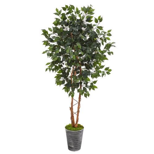 5.5'Ficus Artificial Tree in Decorative Tin Planter