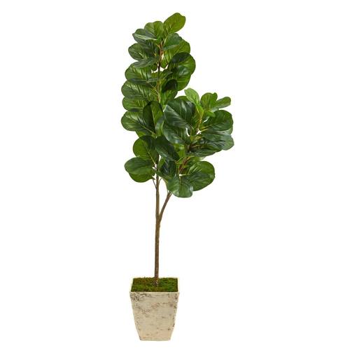 5.5'Fiddle leaf Fig Artificial Tree in Country White Planter