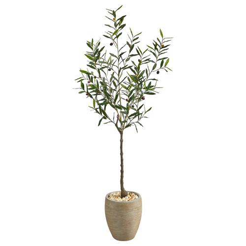 5.5'Olive Artificial Tree in Sand Colored Planter