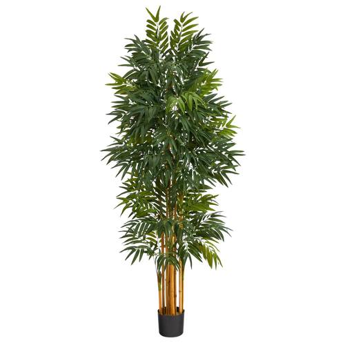 5.5'Phoenix Artificial Palm tree with Natural Trunk