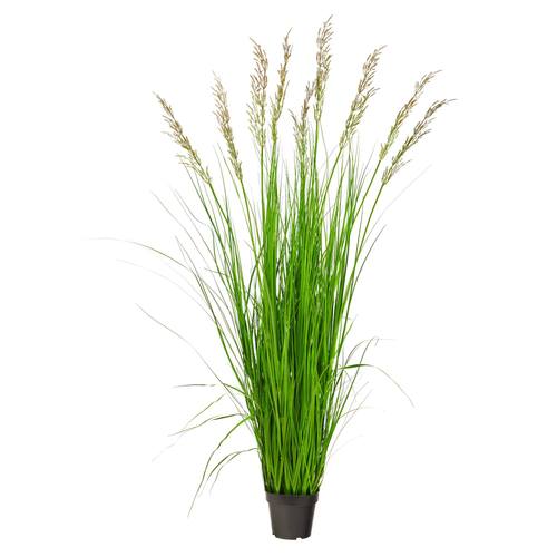 5.5'Plum Grass Artificial Plant