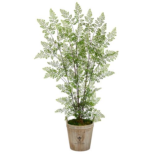 5.5'Ruffle Fern Artificial Tree in Farmhouse Planter
