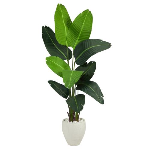 5.5'Travelers Palm Artificial Tree in White Planter
