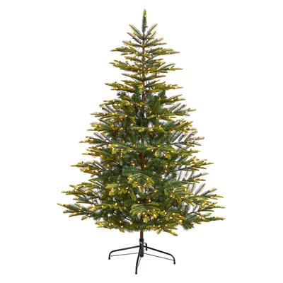 6' Barcelona Mountain Spruce Artificial Christmas Tree with 873 Bendable Branches and 450 Clear LED Lights