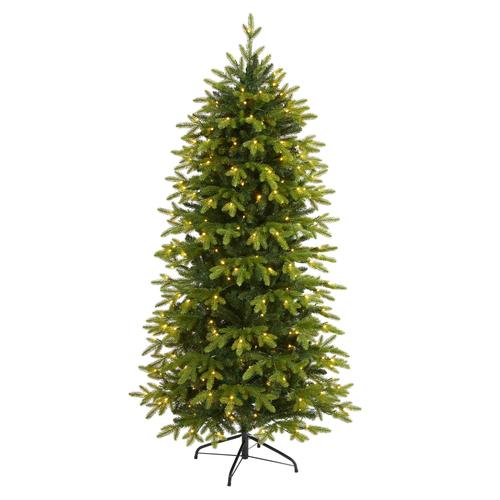 6'Belgium Fir “Natural Look