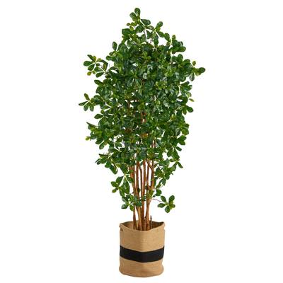 6'Black Olive Artificial Tree in Handmade Natural Cotton Planter