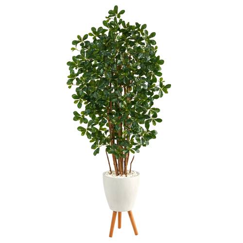 6'Black Olive Artificial Tree in White Planter with Stand
